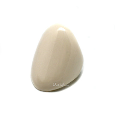 Bone Ring #10161 - HORN JEWELRY