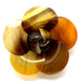 Horn Brooch #11004 - HORN JEWELRY