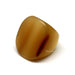 Horn Ring #10352 - HORN JEWELRY