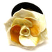 Horn Ponytail Holder #12648 - HORN JEWELRY